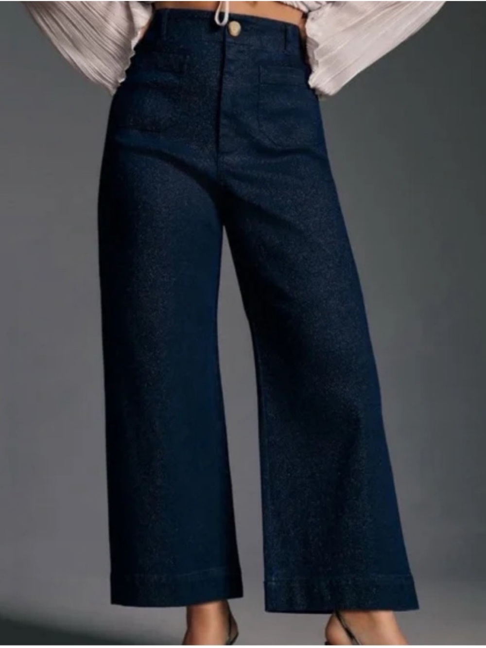 Anthropologie Colette Sparkle Denim Cropped Wide Leg Jeans